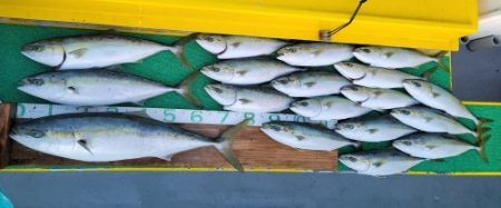 火遠理丸（ほおりまる） 釣果