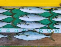 火遠理丸(ほおりまる) 釣果