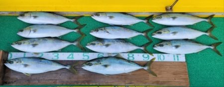 火遠理丸(ほおりまる) 釣果