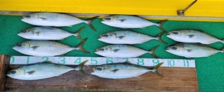 火遠理丸(ほおりまる) 釣果