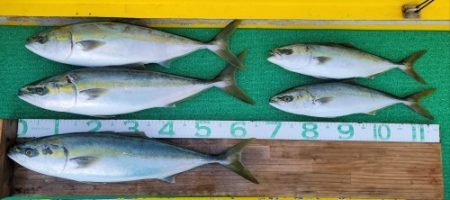 火遠理丸(ほおりまる) 釣果