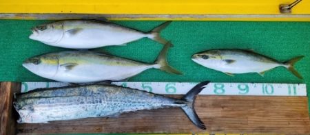 火遠理丸(ほおりまる) 釣果