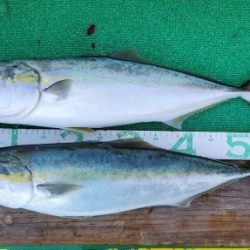 火遠理丸(ほおりまる) 釣果