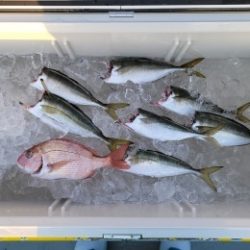 火遠理丸(ほおりまる) 釣果