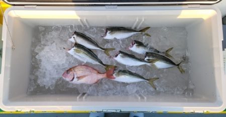 火遠理丸(ほおりまる) 釣果