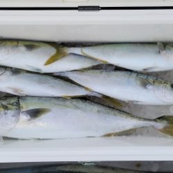 火遠理丸(ほおりまる) 釣果