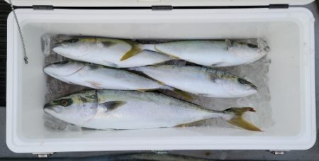 火遠理丸（ほおりまる） 釣果