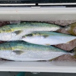 火遠理丸(ほおりまる) 釣果