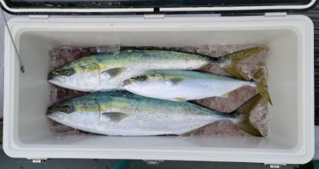 火遠理丸(ほおりまる) 釣果