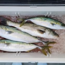 火遠理丸(ほおりまる) 釣果