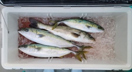 火遠理丸(ほおりまる) 釣果