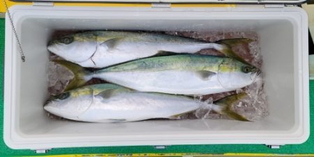 火遠理丸(ほおりまる) 釣果