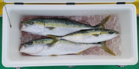 火遠理丸(ほおりまる) 釣果