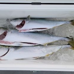 火遠理丸(ほおりまる) 釣果