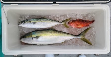 火遠理丸(ほおりまる) 釣果