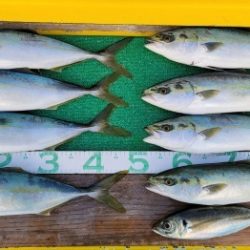 火遠理丸(ほおりまる) 釣果