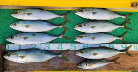 火遠理丸（ほおりまる） 釣果