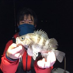 Magic（マジック） 釣果