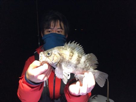 Magic（マジック） 釣果