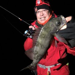 Magic(マジック) 釣果