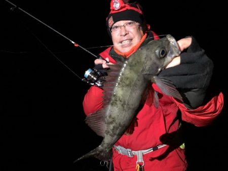 Magic(マジック) 釣果