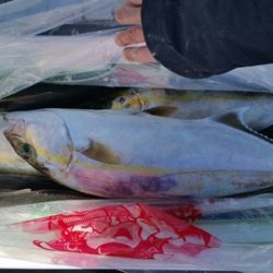 第五慶門丸 釣果