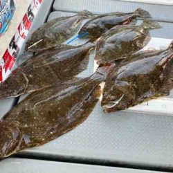 遊漁船 セトマリン 釣果