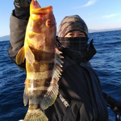 遊漁船 新鋭丸 釣果