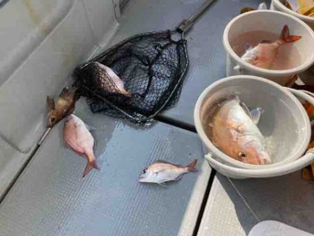 遊漁船 セトマリン 釣果