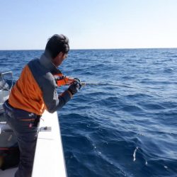 開進丸 釣果