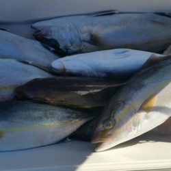 第五慶門丸 釣果