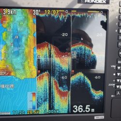 遊漁船 ニライカナイ 釣果