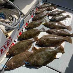 遊漁船 セトマリン 釣果