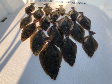 Magic（マジック） 釣果