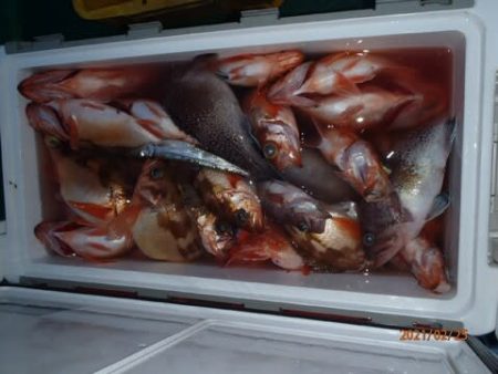 第二むつ漁丸 釣果