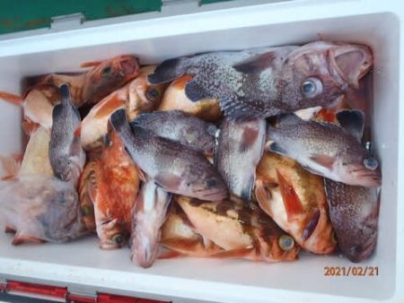 第二むつ漁丸 釣果