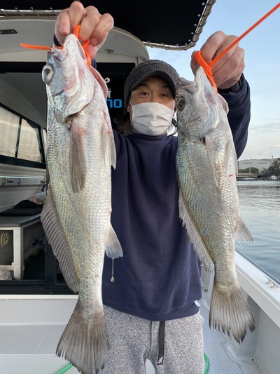 ミタチ丸 釣果