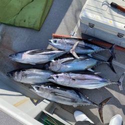 へいみつ丸 釣果