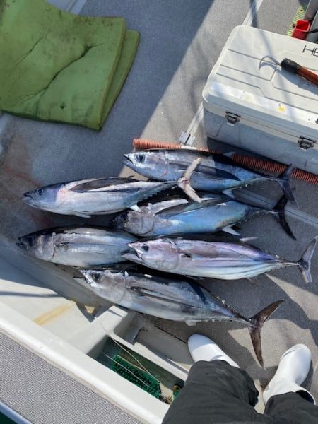 へいみつ丸 釣果