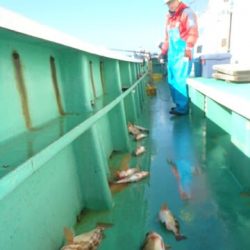 第二むつ漁丸 釣果