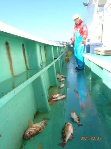 第二むつ漁丸 釣果