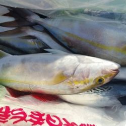 第五慶門丸 釣果