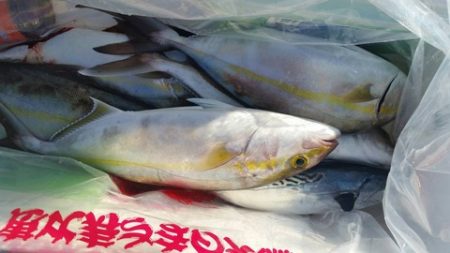 第五慶門丸 釣果