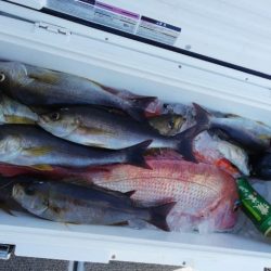 第二大福丸 釣果