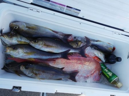 第二大福丸 釣果