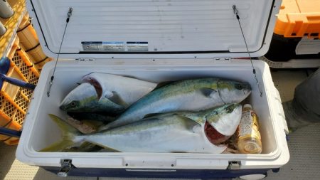 遊漁船　ニライカナイ 釣果