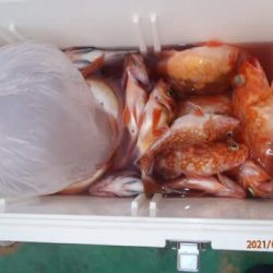 第二むつ漁丸 釣果