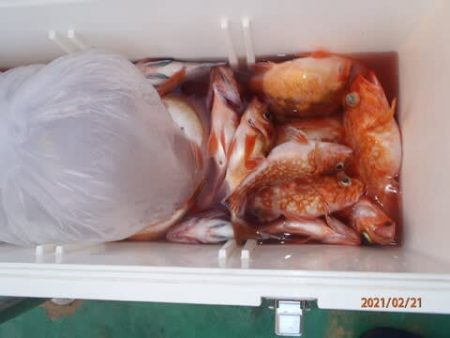 第二むつ漁丸 釣果