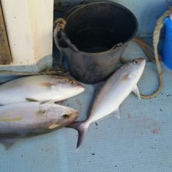 第五慶門丸 釣果