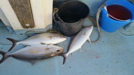 第五慶門丸 釣果